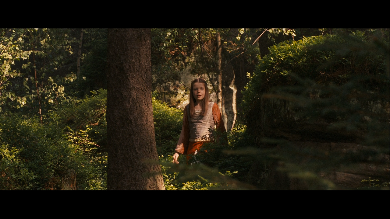 The.Chronicles.of.Narnia：Prince.Caspian.2008.1080p.DSNP.H264.DDP.5.1.3Audio(ko,en,ja)-KIJ.mkv_003125539.png