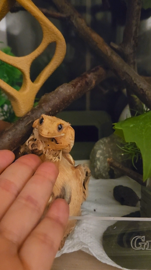 스크린샷 2026-04-08 110942.png