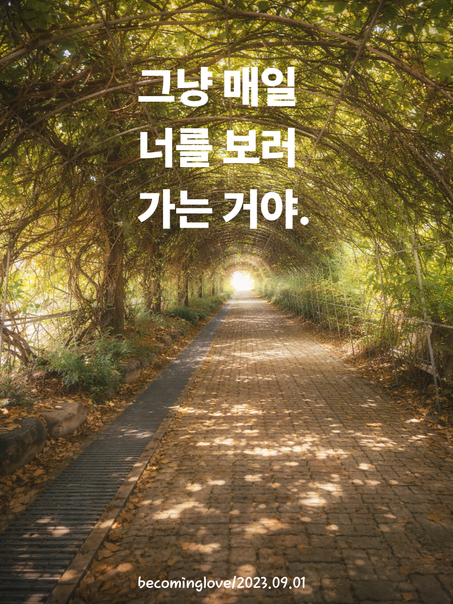 그냥 매일 너를 보러 가는 거야.png