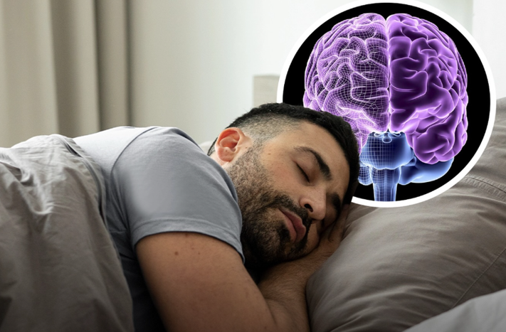 20260208 _ 낮잠, 오후 뇌가 다시 배우는 과학적 이유는 무엇일까 _ 2.png