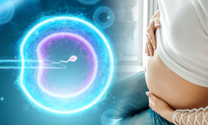 20260212 _ IVF 자연배란 주기, 출산 성공 같고 합병증 낮다 _ 2.png