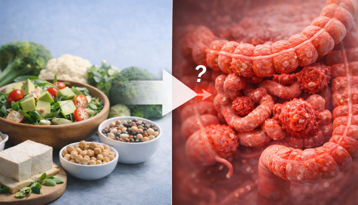 20260307 _ 채식·비건, 암 예방에 도움될까 _ 2-3.png