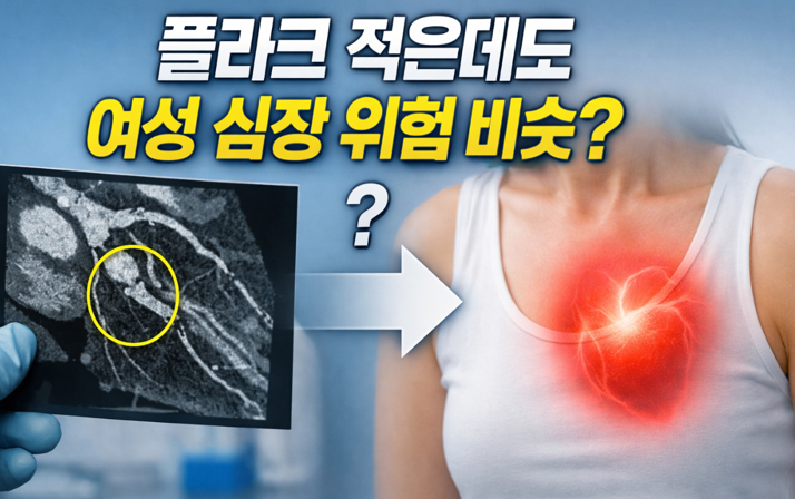 20260226 _ 여성 심장질환, 플라크 적어도 안심 금물인 이유 _ 2-3.png
