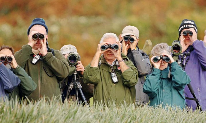 20260304 _ 새 덕후의 뇌는 왜 더 젊을까 _ 2-1.png