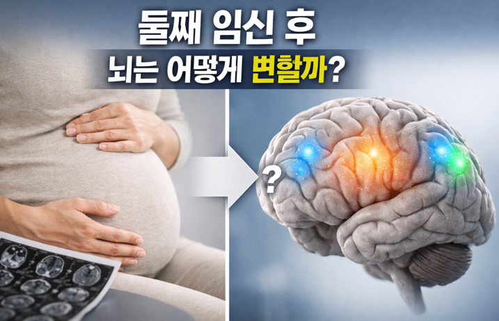 20260226 _ 임신 뇌 변화, 둘째 임신도 ‘새 흔적’ 남긴다 _ 2-3.png