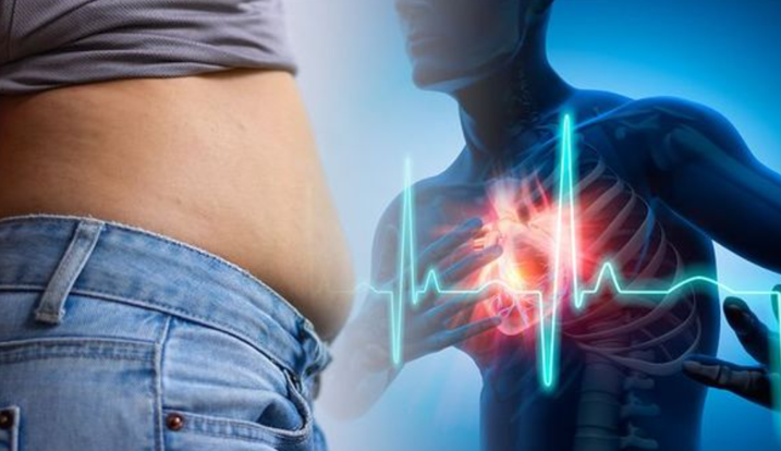 20260325 _ 뱃살과 심부전, BMI보다 허리둘레가 더 정확한 경고 신호다 _ 2-2.png