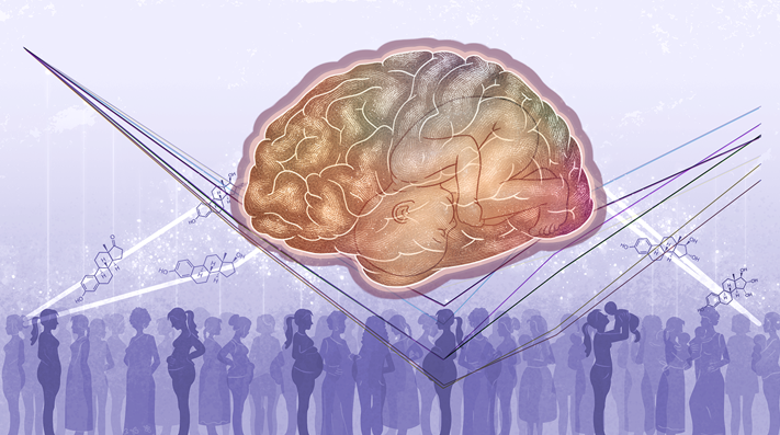 20260217 _ 임신·모유수유, 폐경 후 뇌 노화 완충될까 _ 2-1.png