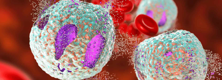 20260128 _ 면역계-호중구, 지방 연소 브레이크 정체 새 연구 _ 2-2.png