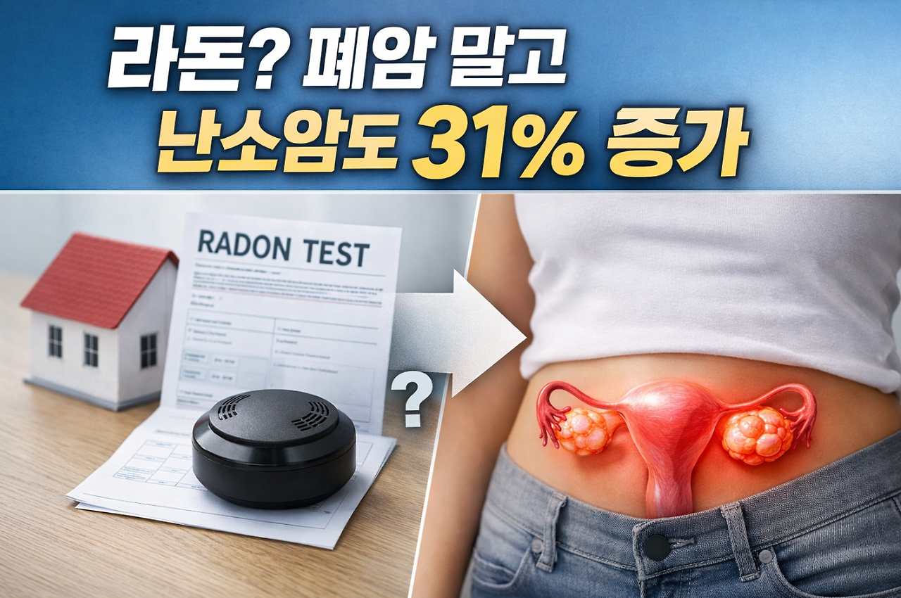 20260418 _ 라돈 가스, 난소암 위험까지 높인다 _ 2-3.png