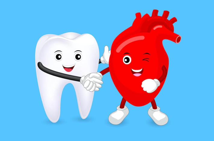 20260318 _ 어릴 때 충치가 많다면…성인 심장병 위험도 함께 높아진다 _ 2-2.png