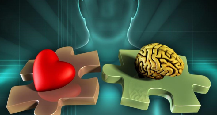 20260213 _ 고혈압·심장병 관리, 치매 예방의 ‘진짜 시작’일까 _ 2-3.png