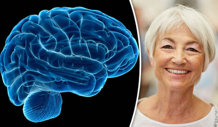 20260131 _ 슈퍼 에이저 유전자, 80대 뇌를 지키는 두 단서 _ 2.png