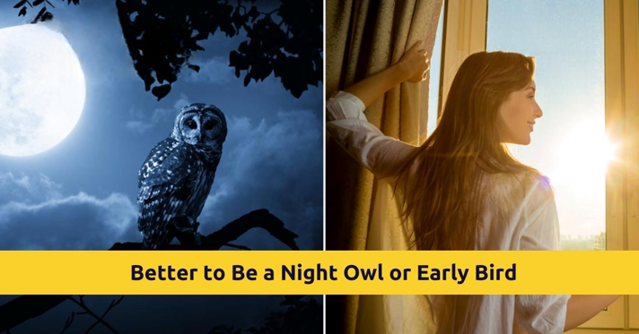 20260212 _ 올빼미형이면 다이어트가 불리할까 _ 2-3.png