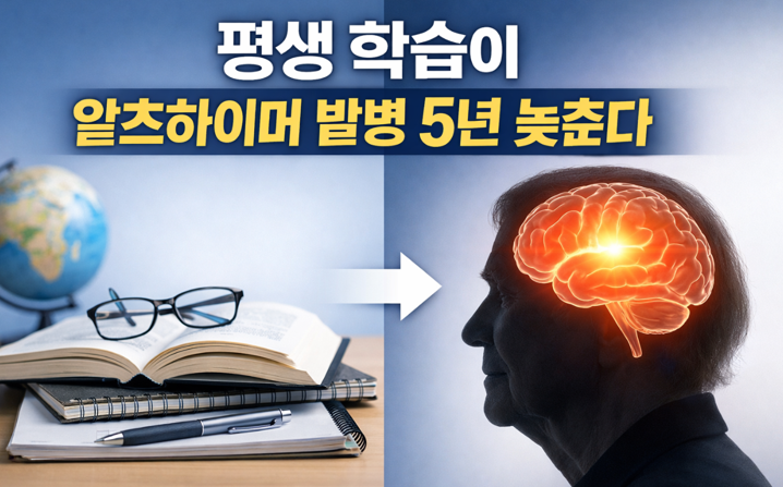 20260222 _ 뇌 건강, 평생 학습이 알츠하이머를 5년 늦춘다 _ 2-3.png