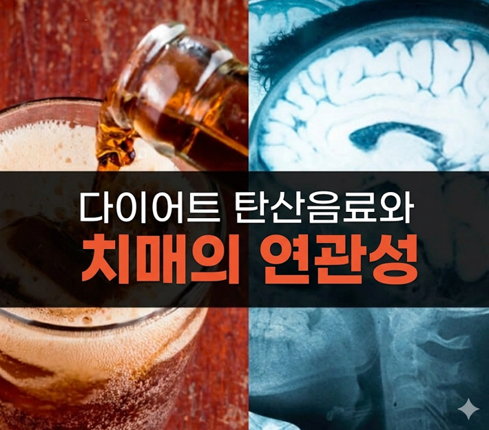 20260206 _ 다이어트 탄산음료, 치매 4배↑ ‘당뇨·비만’이 열쇠 _ 2-3.png