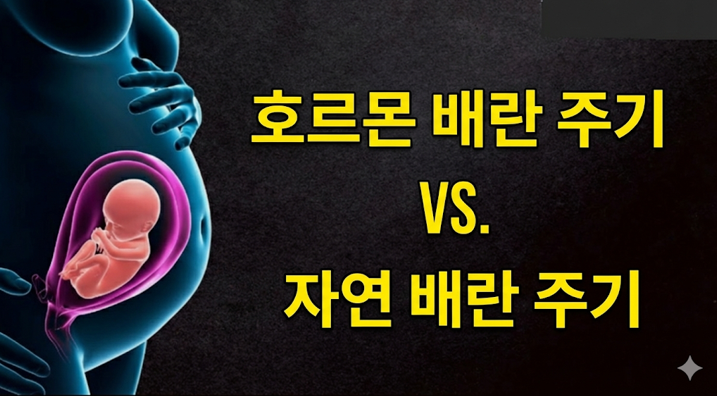 20260212 _ IVF 자연배란 주기, 출산 성공 같고 합병증 낮다 _ 2-3.png