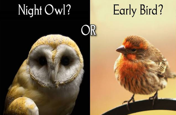 20260212 _ 올빼미형이면 다이어트가 불리할까 _ 2.png