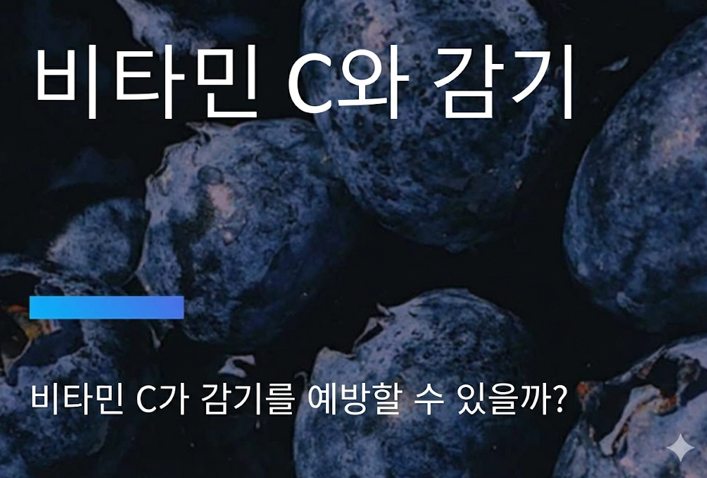 20260211 _ 비타민 C, 감기약 아닌 진짜 역할 한눈에 정리 _ 2-3.png