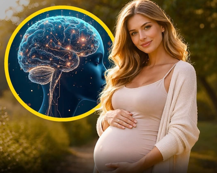 20260226 _ 임신 뇌 변화, 둘째 임신도 ‘새 흔적’ 남긴다 _ 2-2.png