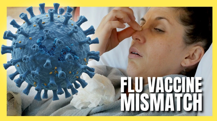 20260126 _ 인플루엔자, 올해 유독 독한 이유 _ 2-1.png