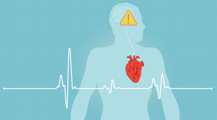 20260213 _ 고혈압·심장병 관리, 치매 예방의 ‘진짜 시작’일까 _ 2.png