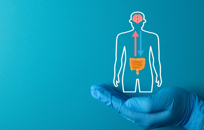 20260321 _ 장 건강이 기억력을 좌우한다 _ 2.png