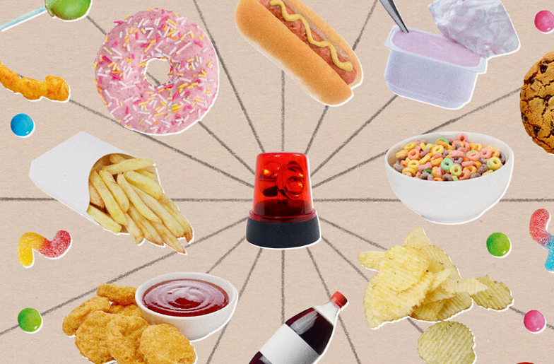 20260422 _ 초가공식품, 허벅지 근육에 지방 더 많이 낀다 _ 2-3.png