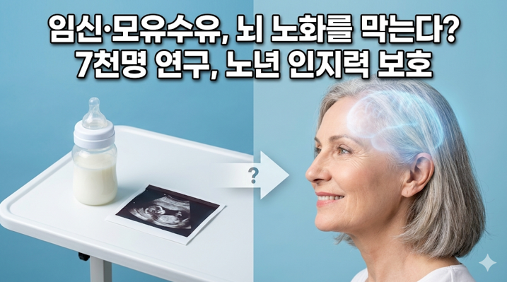 20260217 _ 임신·모유수유, 폐경 후 뇌 노화 완충될까 _ 2-3.png