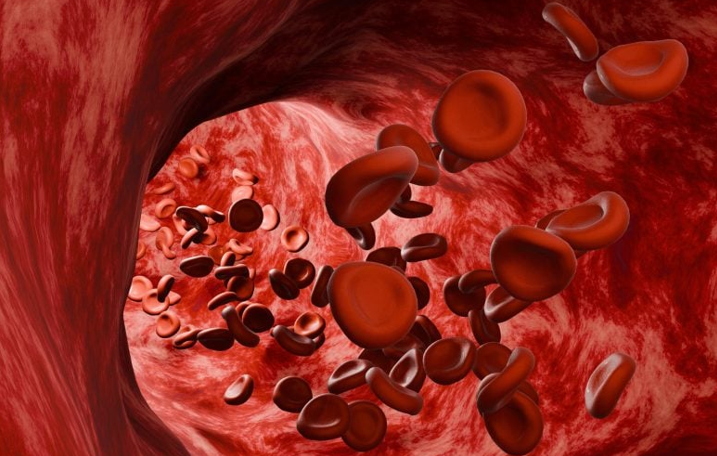 20260224 _ 울트라마라톤 러닝, 적혈구 ‘가속 노화’ 신호 _ 2.png