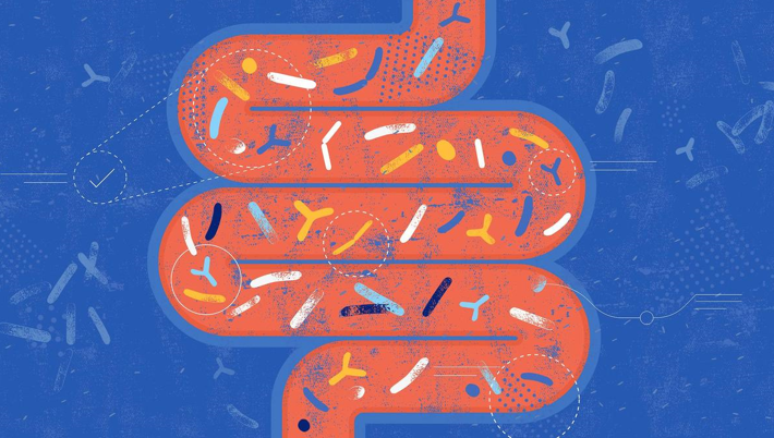 20260321 _ 장 건강이 기억력을 좌우한다 _ 2-2.png