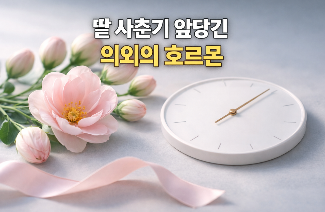 20260424 _ 딸의 사춘기 7개월 앞당기는 의외의 삼각관계 _ 2-4.png