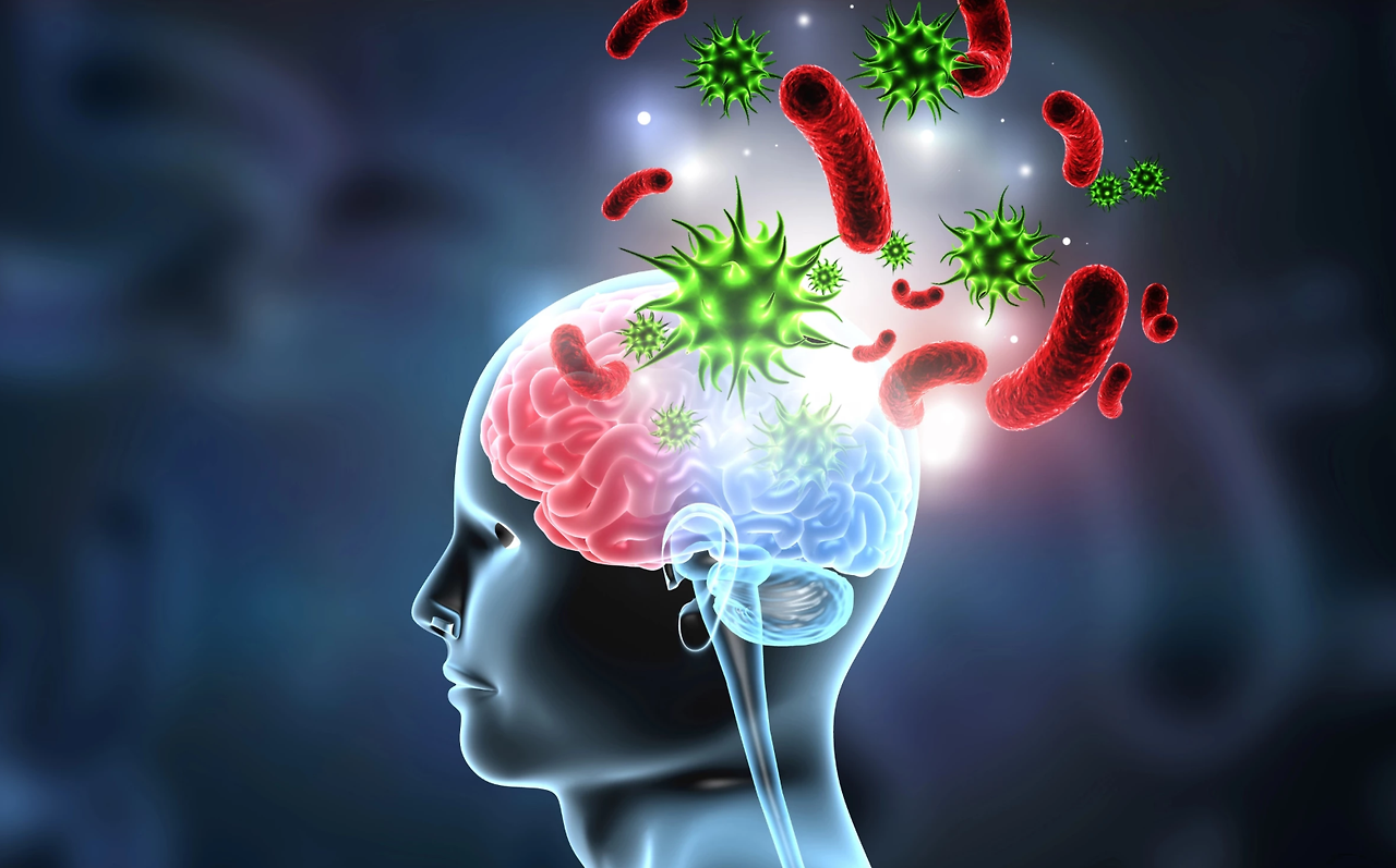 20260328 _ 세균 감염이 치매 위험을 높인다 _ 2.png