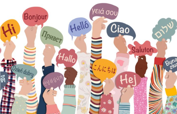 20260317 _ 외국어 공부가 뇌 노화를 막는다고 _ 2-1.png