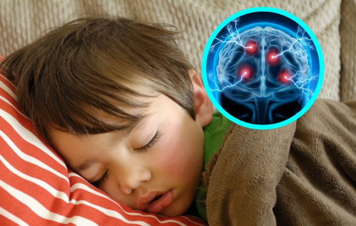 20260208 _ 낮잠, 오후 뇌가 다시 배우는 과학적 이유는 무엇일까 _ 2-2.png