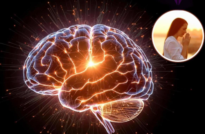 20260211 _ 희망이 백신 면역을 키울까 뇌 보상경로의 실험 _ 2-1.png