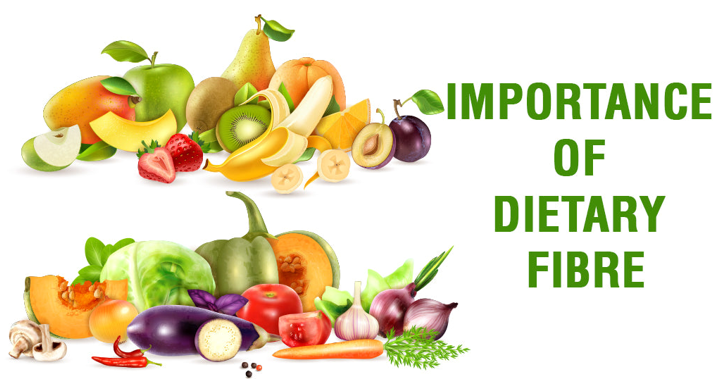 20260204 _ 식이섬유, ‘필수 영양소’로 승격해야 하는 이유 _ 2-3.png