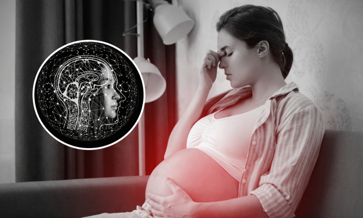 20260226 _ 임신 뇌 변화, 둘째 임신도 ‘새 흔적’ 남긴다 _ 2.png