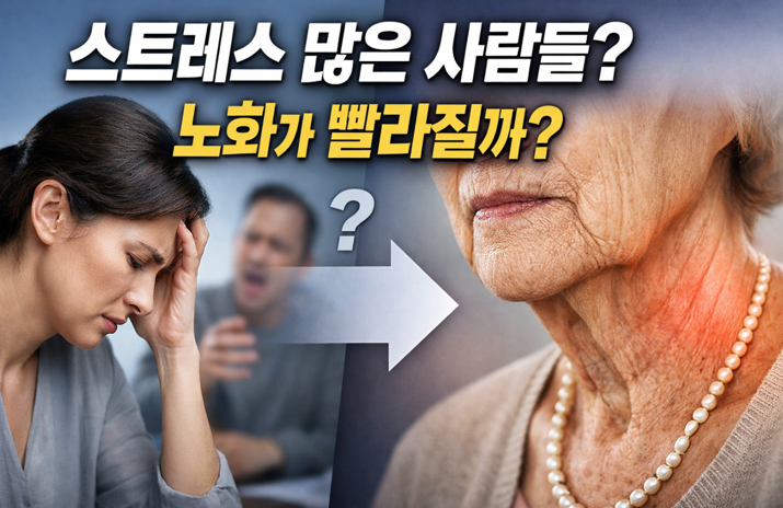 20260314 _ 스트레스 인간관계, 생물학적 노화와 어떤 관련 있을까 _ 2-3.png