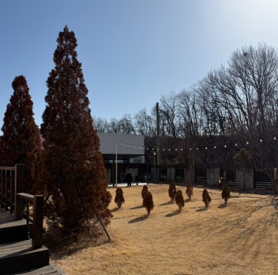 20장 버니번 마당 2026-03-09 100818.png