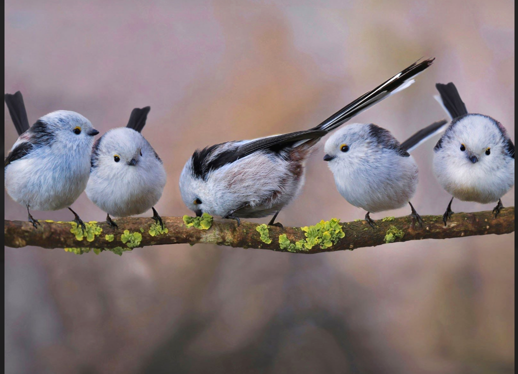 스크린샷 2026-02-25 114548.png