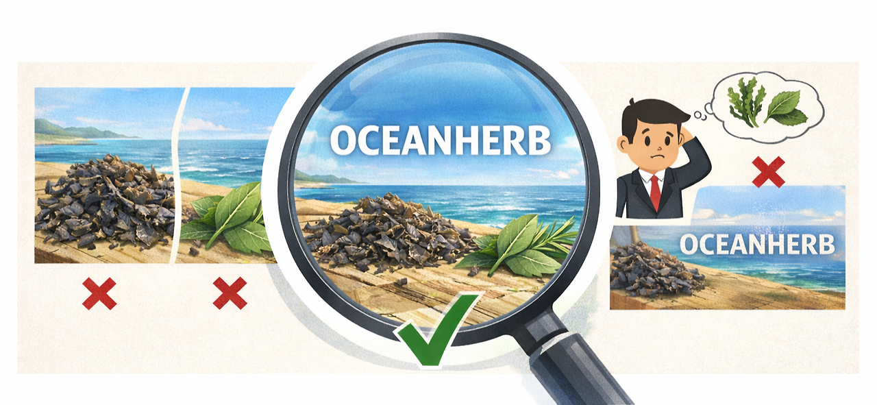 ChatGPT Image 2026년 3월 13일 오후 12_04_24.png