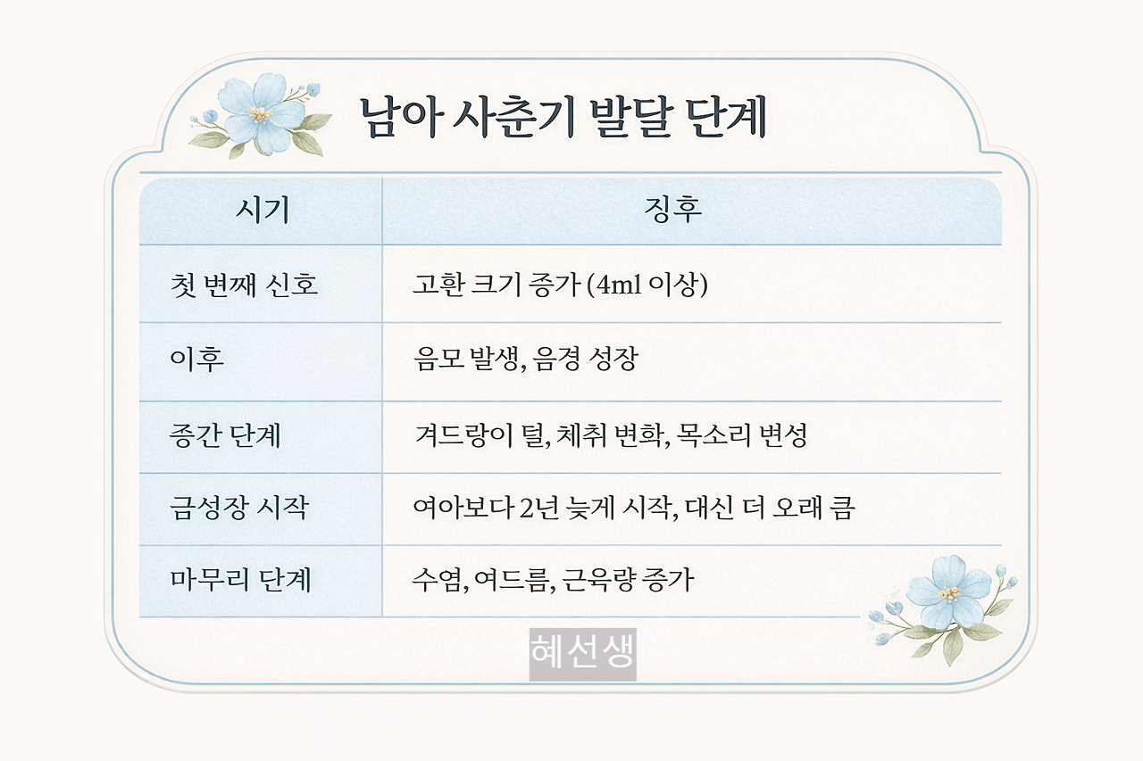 남아 성조숙증.png
