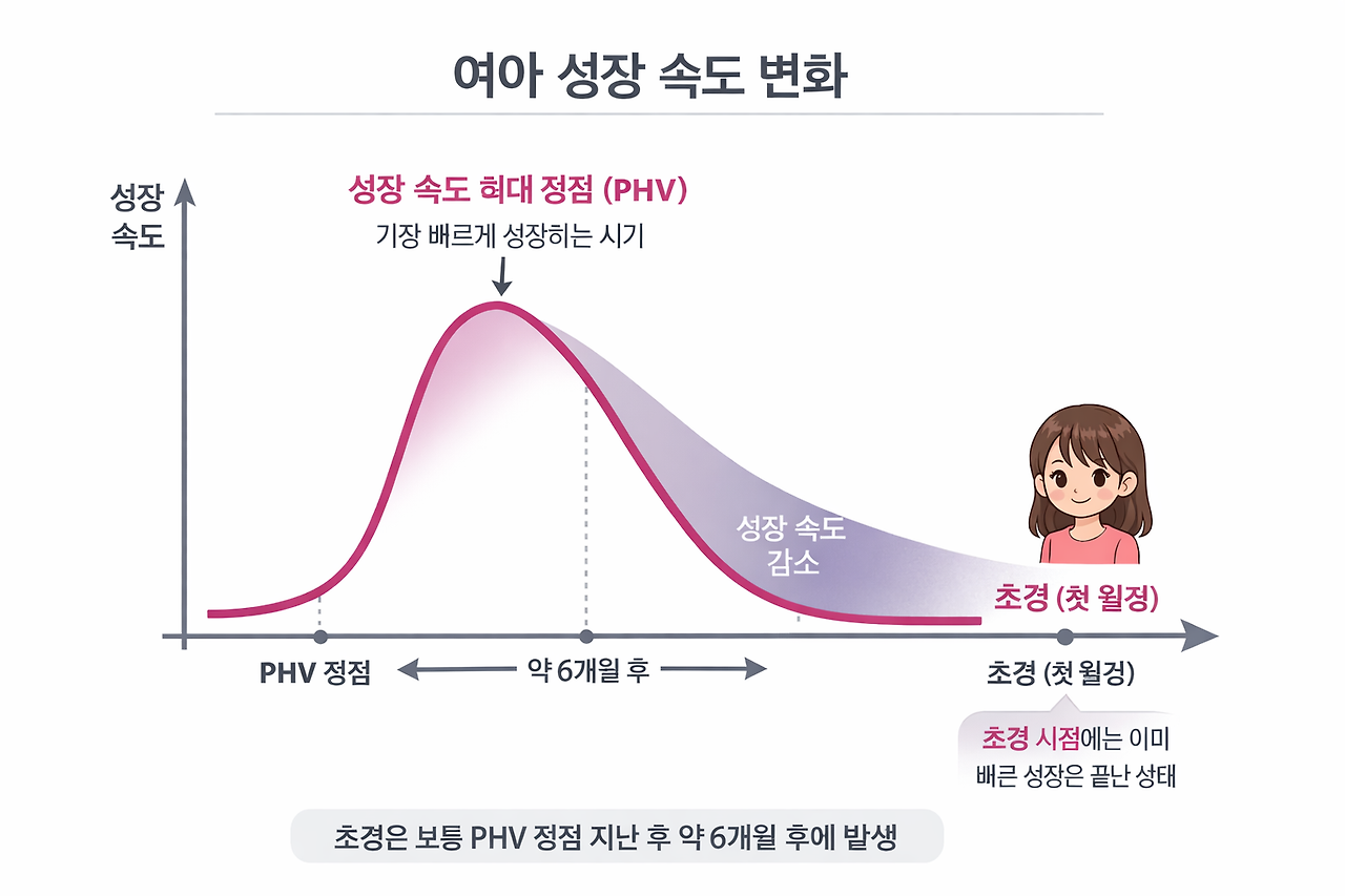초경과 성장.png