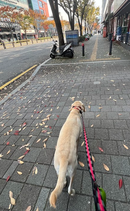 Screenshot 2026-03-20 10.22.44.png