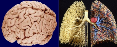 스크린샷 2026-01-28 102353.png