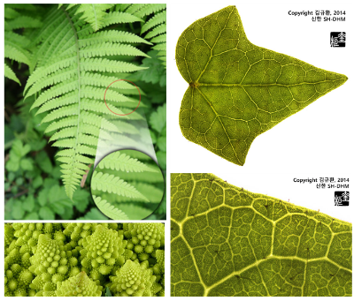 스크린샷 2026-01-29 104425.png