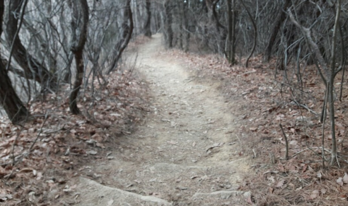 2026-03-03 14;40;07_.png