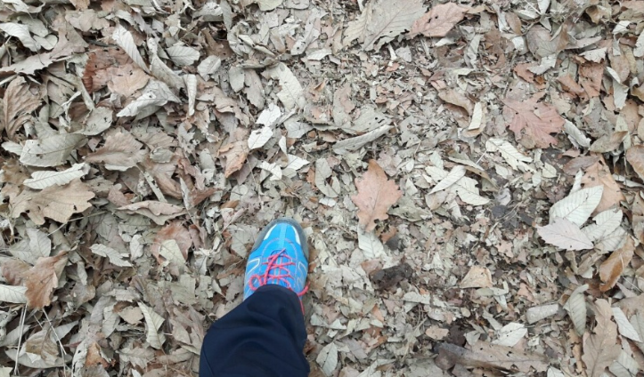 2026-03-03 14;39;47_.png