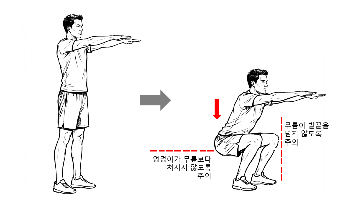 스쿼트.png