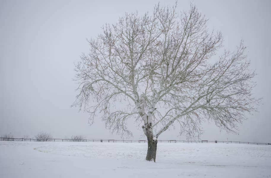 스크린샷 2026-04-14 101038.png